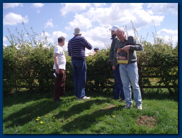 600x449 pixels (155K)